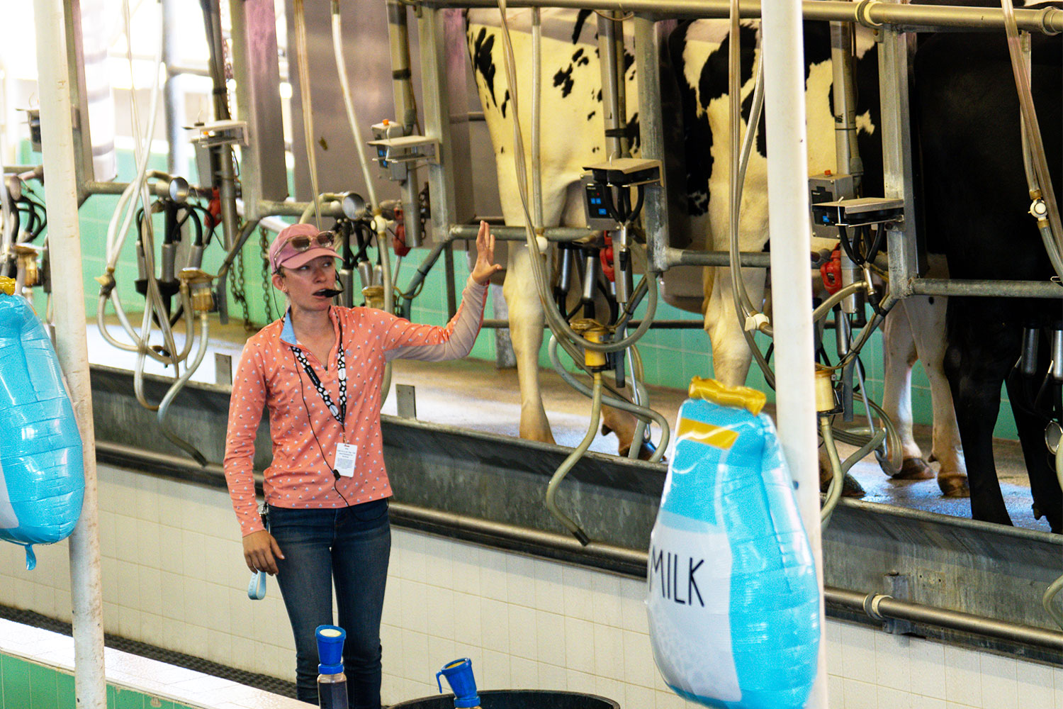 Read more about the article The Dairy Parlor